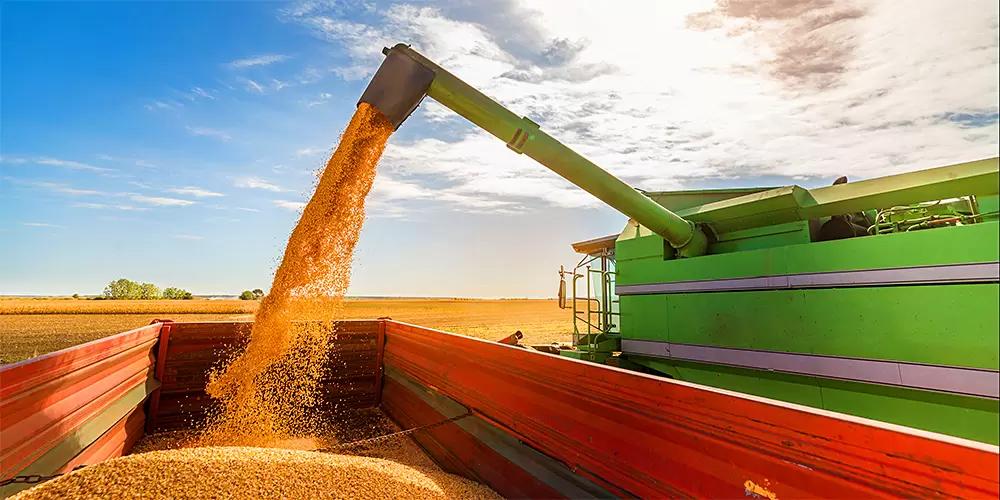 В октябре Россия экспортировала рекордный объем пшеницы