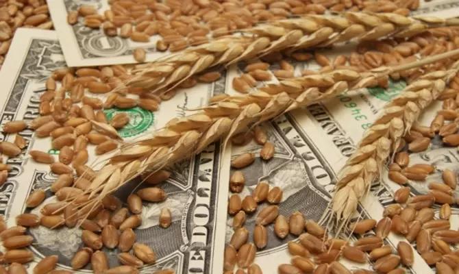 Экспортные ограничения подняли цены на зерновые на 6–12%