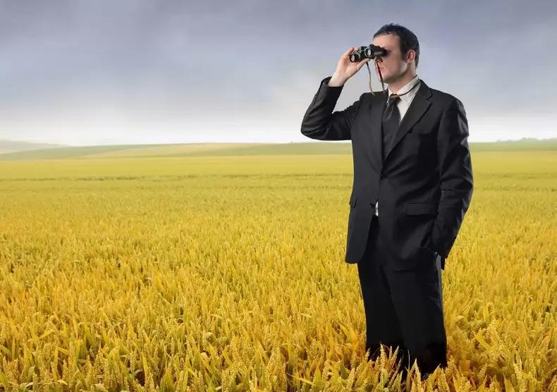 Когда начальник «лезет не в свое дело»?