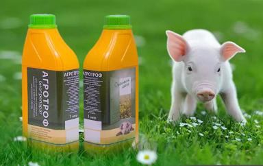 АГРОТРОФ - биопрепарат для ускоренного компостирования навоза/помета.