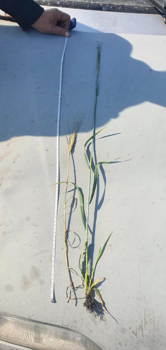 В чем проблема