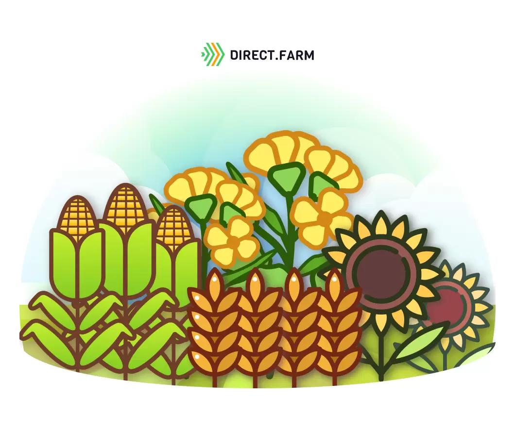 Наиболее прибыльные агрокультуры