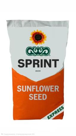 Семена подсолнечника СПРИНТ лот РАПИД (пионер П64ЛЕ25)