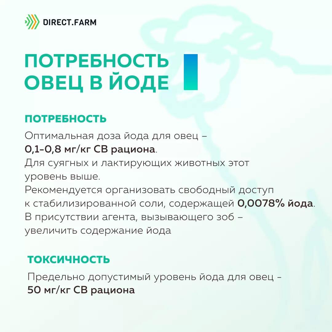 Потребность овец в йоде