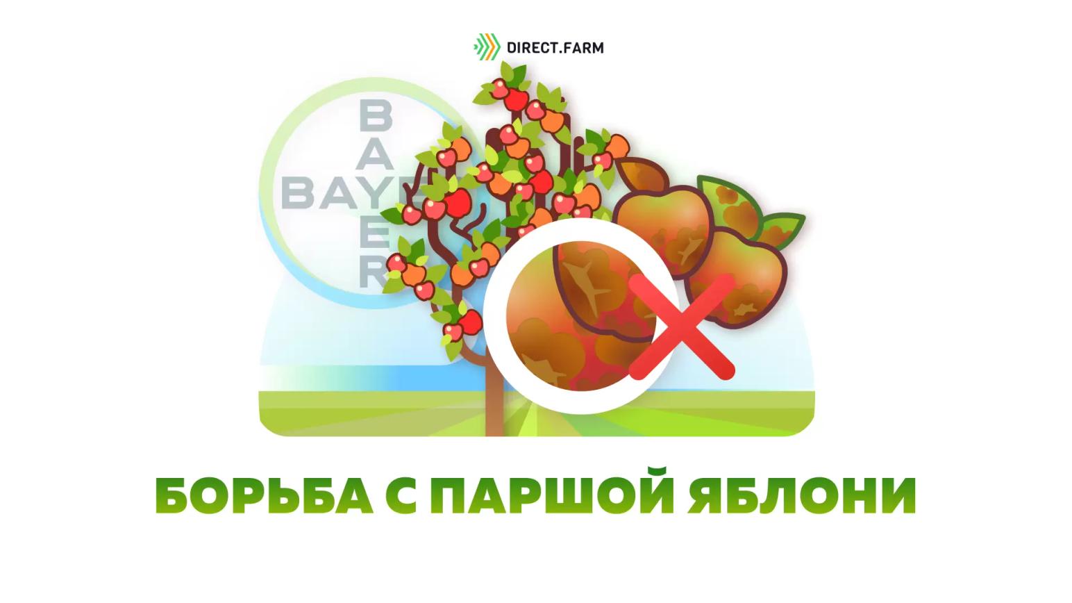 Антракол в защите яблони от парши