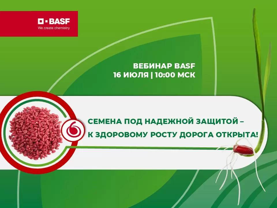 🌾 Семена под надежной защитой – к здоровому росту дорога открыта!