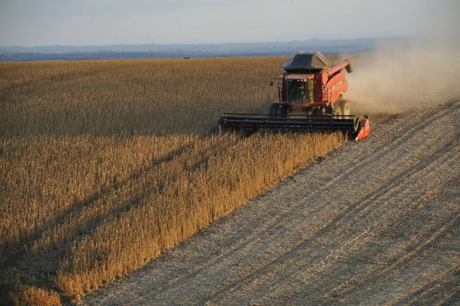 Минсельхоз введет льготы на уплату пошлины за зерно для иностранных покупателей