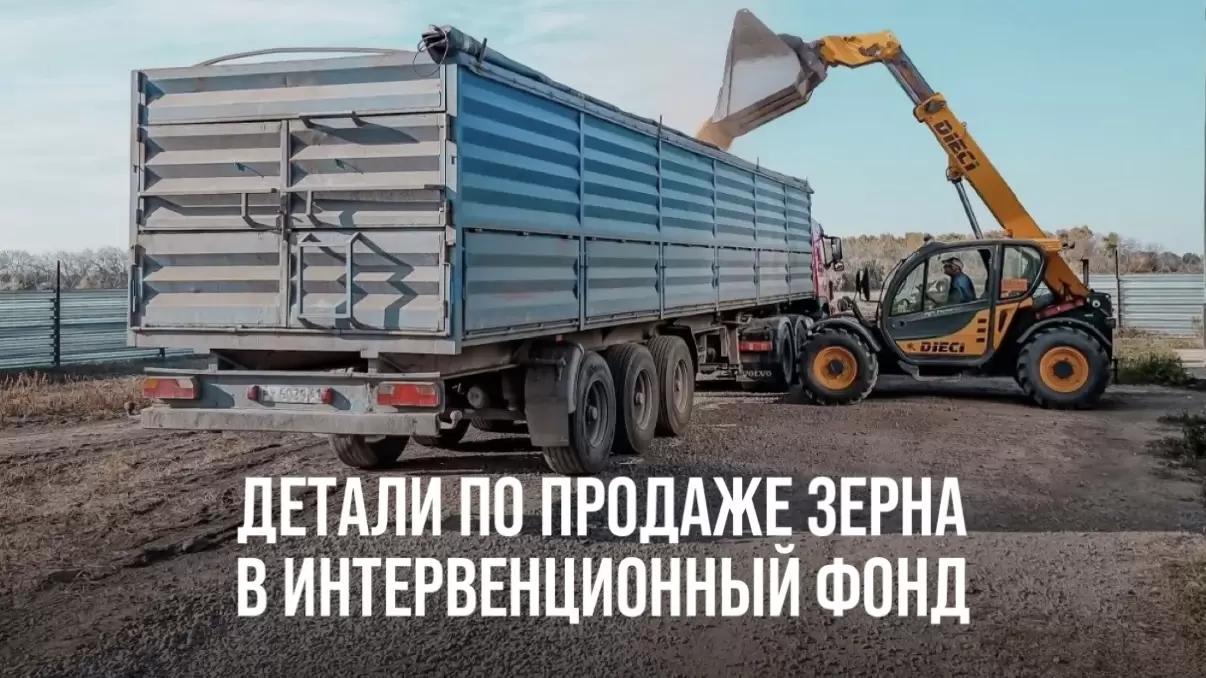 ДЕТАЛИ ПО ПРОДАЖЕ ЗЕРНА В ИНТЕРВЕНЦИОННЫЙ ФОНД