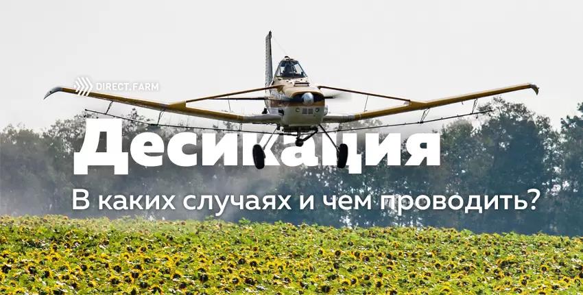 Десикация: особенности и выбор препарата