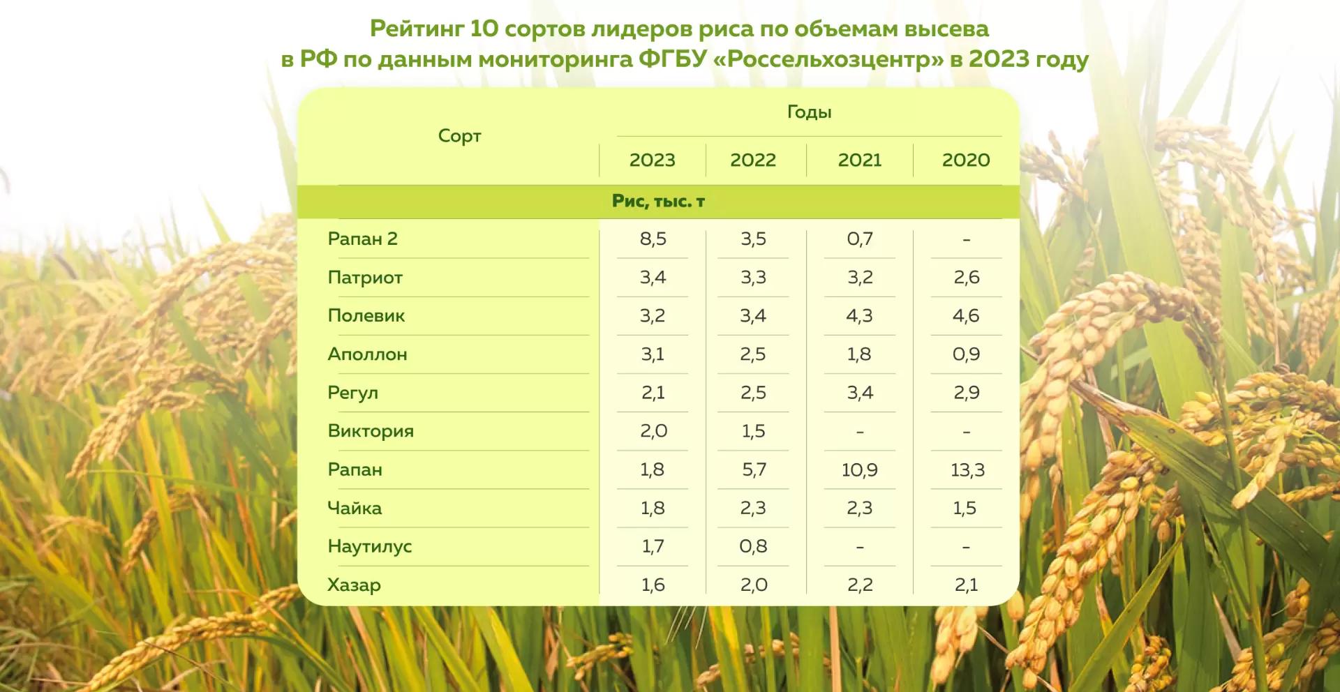Топ сортов риса в 2023 году