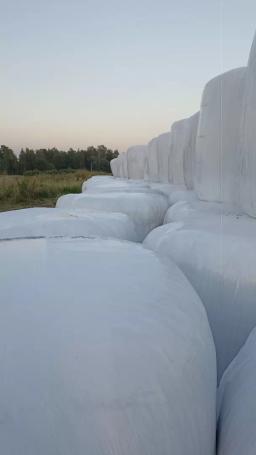 Сенаж в рулонах