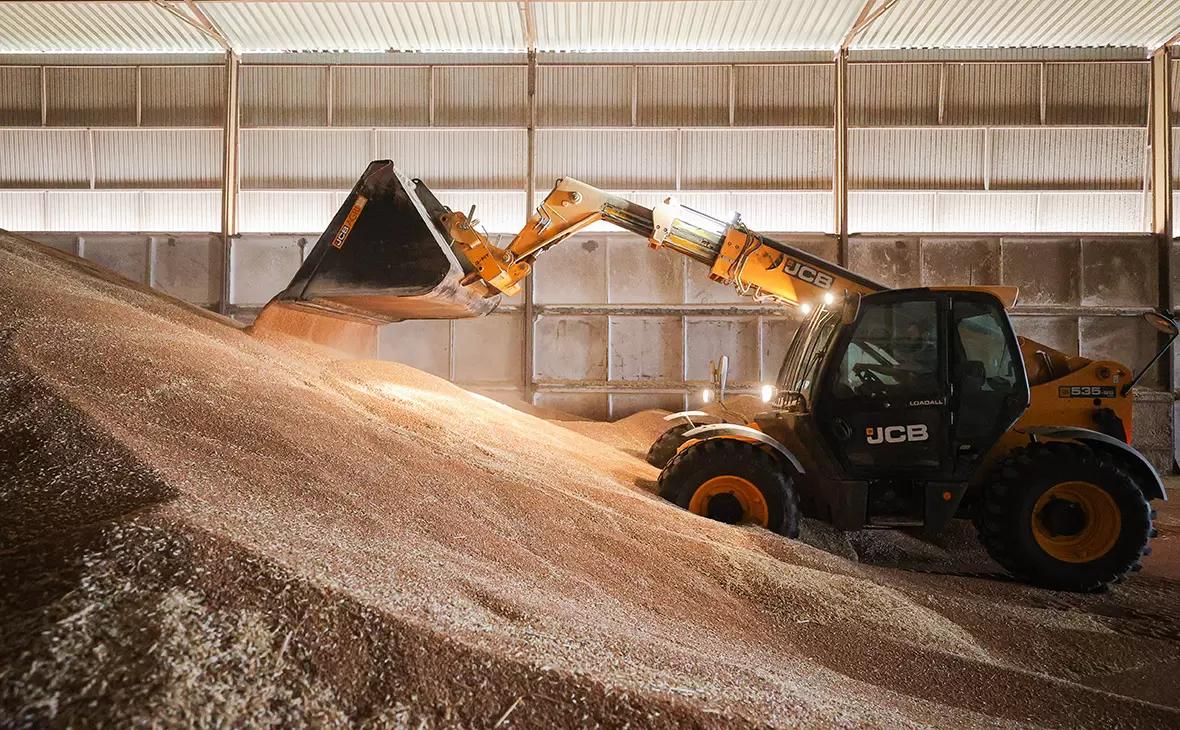 Темпы экспорта российского зерна в сентябре заметно ниже прошлогодних - эксперты