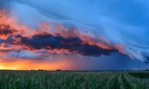 Прогноз развития вредителей и болезней в зависимости от погодных условий