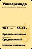 Универсиада