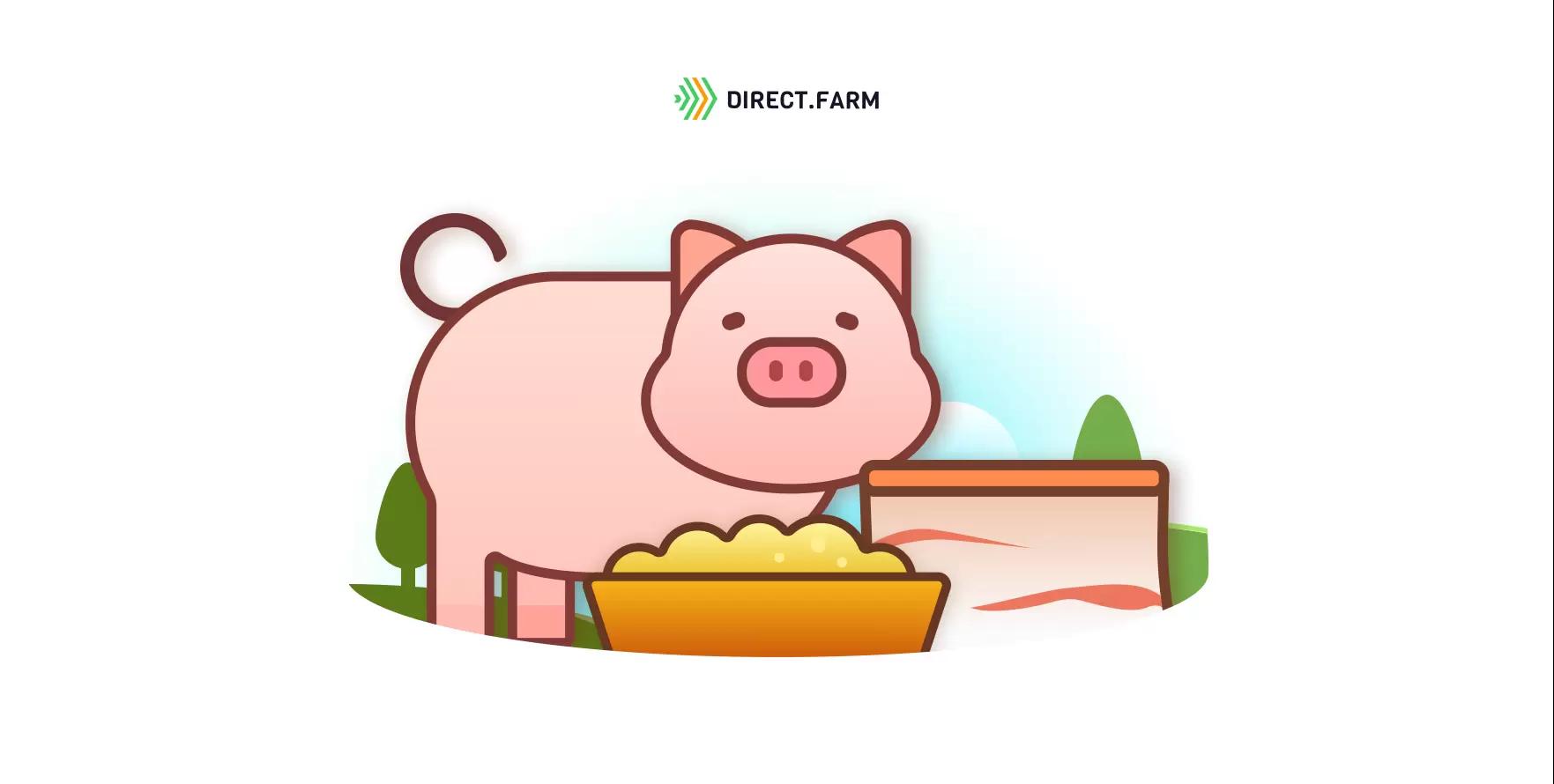 Чем кормить сальных свиней?