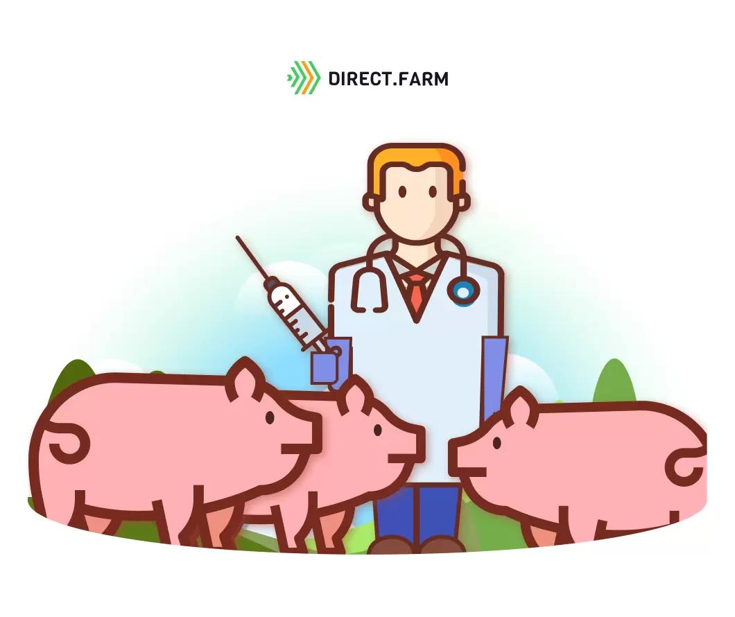 Протокол работы с проблемными свинками