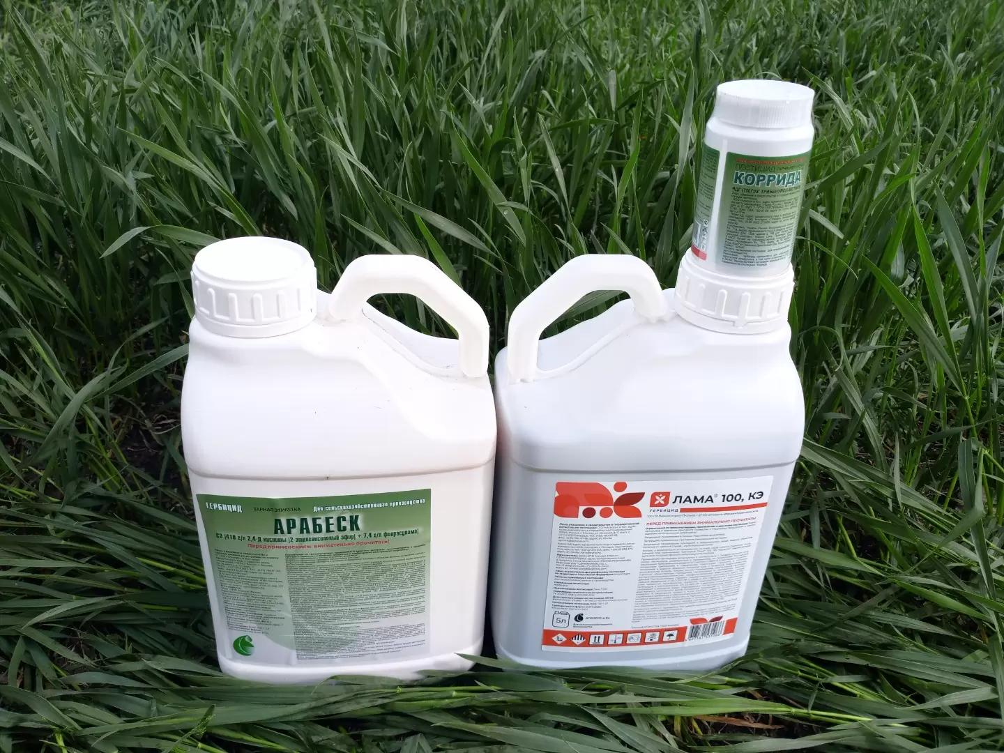 Варианты комплексной защиты посевов пшеницы от сорной растительности (Часть 1)