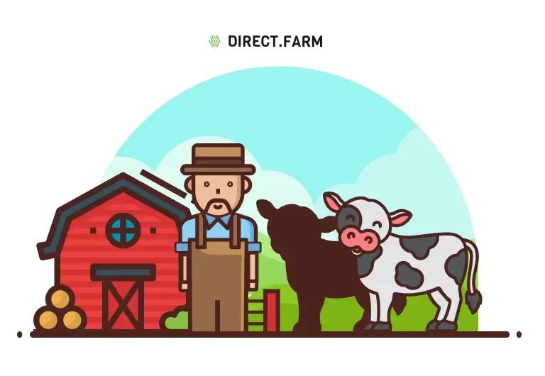 Причины яловости коров