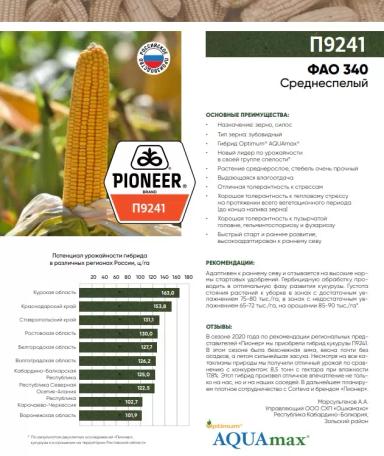 П 9241- гибрид кукурузы Пионер