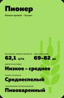 Пионер (PIONIER)