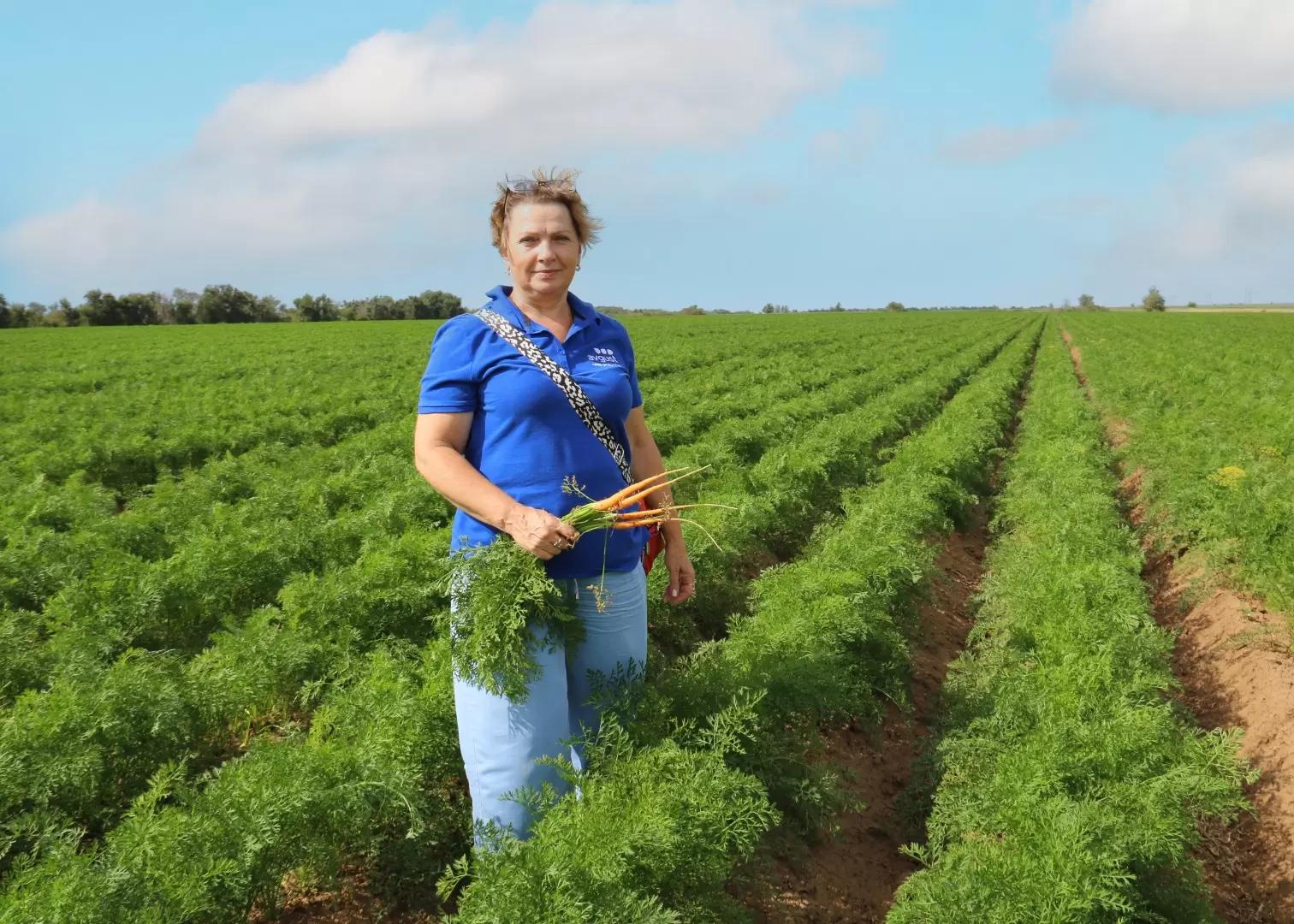 Овощи в безопасности