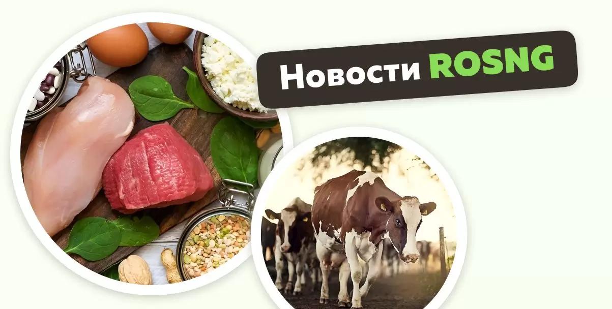 Обзор новостей на 2-3 декабря