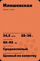 Илишевская