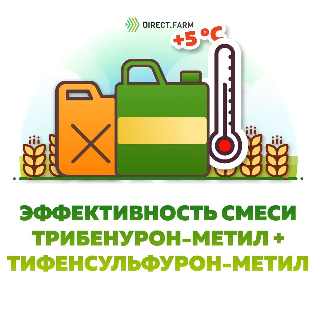 Какова эффективность смеси трибенурон-метил + тифенсульфурон-метил?