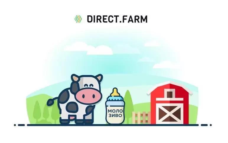 Как правильно кормить телят молозивом?