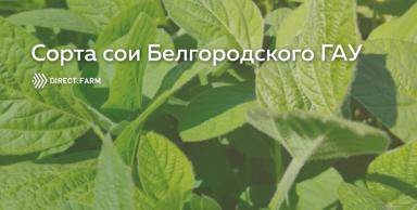 Сорта сои Белгородского ГАУ
