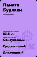 Памяти Бурлаки