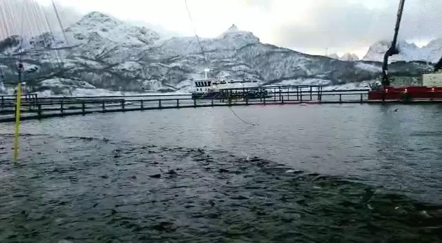 Жаль, что в таком прекрасном приложении ооочень мало внимания аквакультуре.