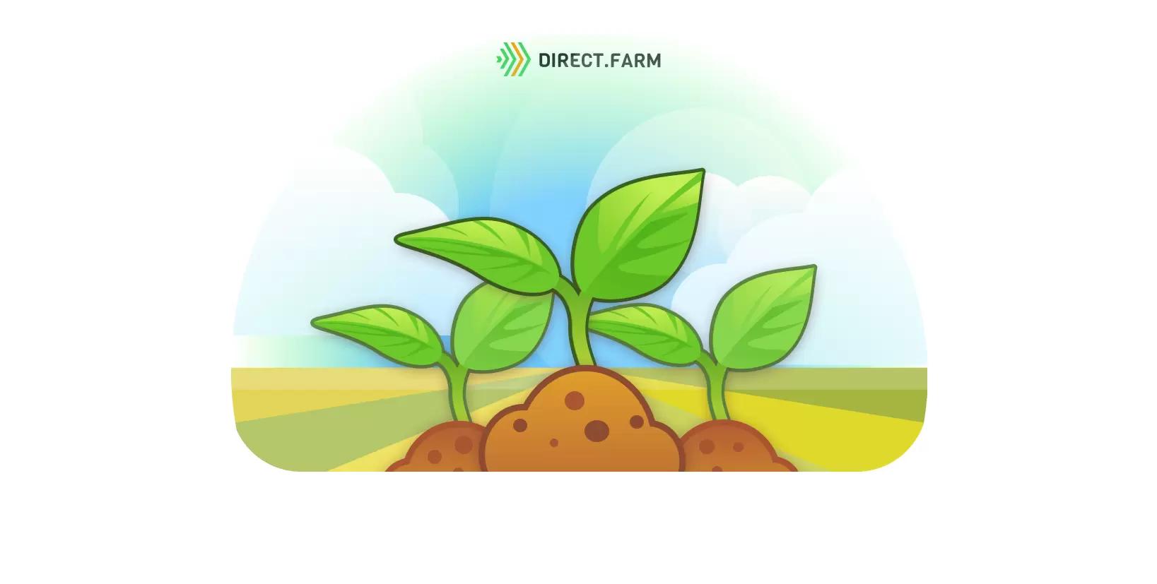 Обеспечение дружных всходов