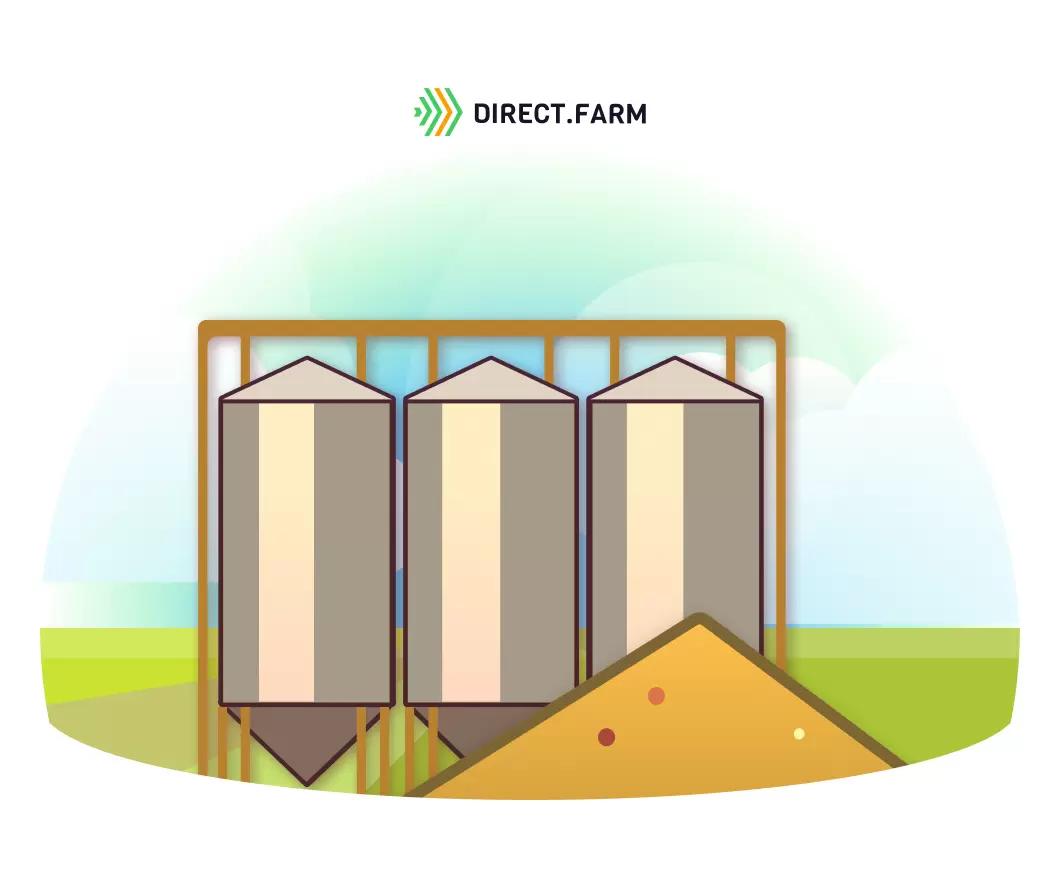 Собственное и элеваторное хранение зерна
