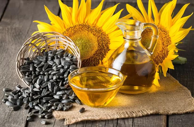 Пошлина на экспорт подсолнечного масла и шрота из РФ может быть продлена на год