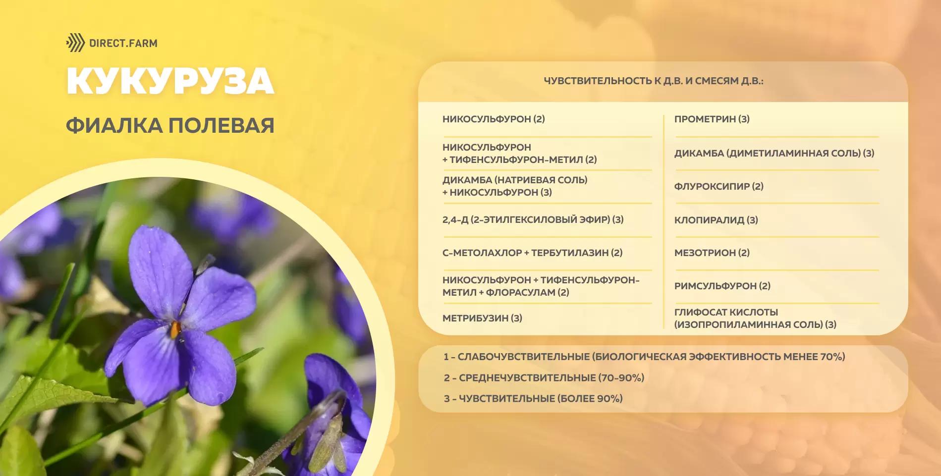 Шпаргалка чувствительности фиалки полевой к д.в. гербицидов