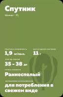 Спутник F1 (SPUTNIK)