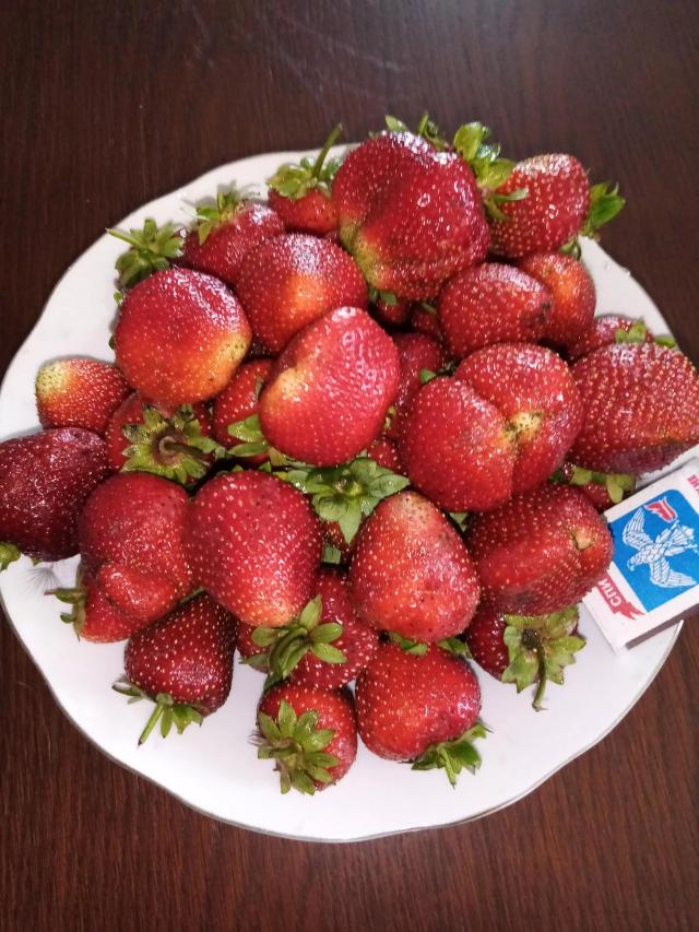 Ищу Единомышленников