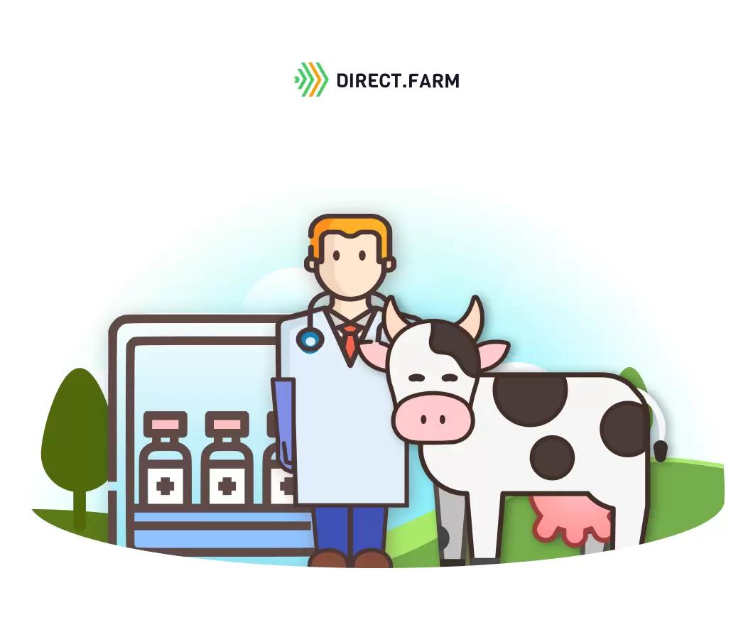 Как организовать хранение ветеринарных препаратов?