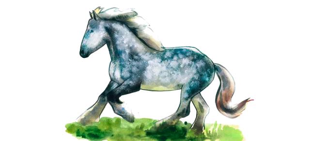 Першерон – порода лошадей