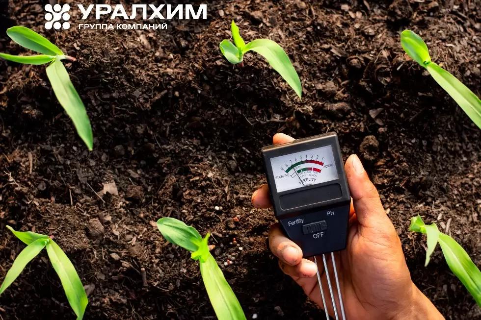 Понимание кислотности почвы – первый шаг к эффективному земледелию!