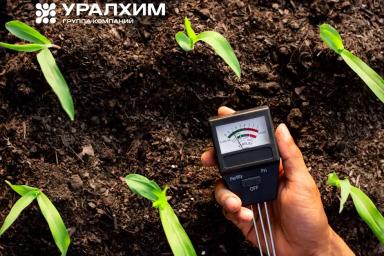 Понимание кислотности почвы – первый шаг к эффективному земледелию!