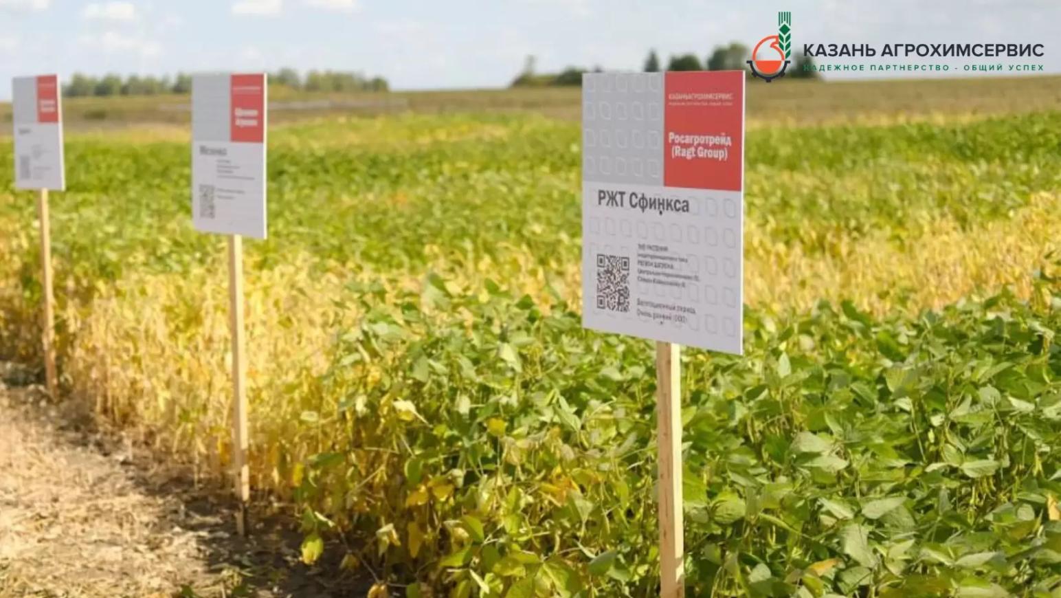 ⚡️ДЕМО-ПОСЕВЫ СОИ 2023: РЕЗУЛЬТАТЫ