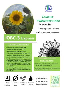 Семена подсолнечника гибрид под экспресс