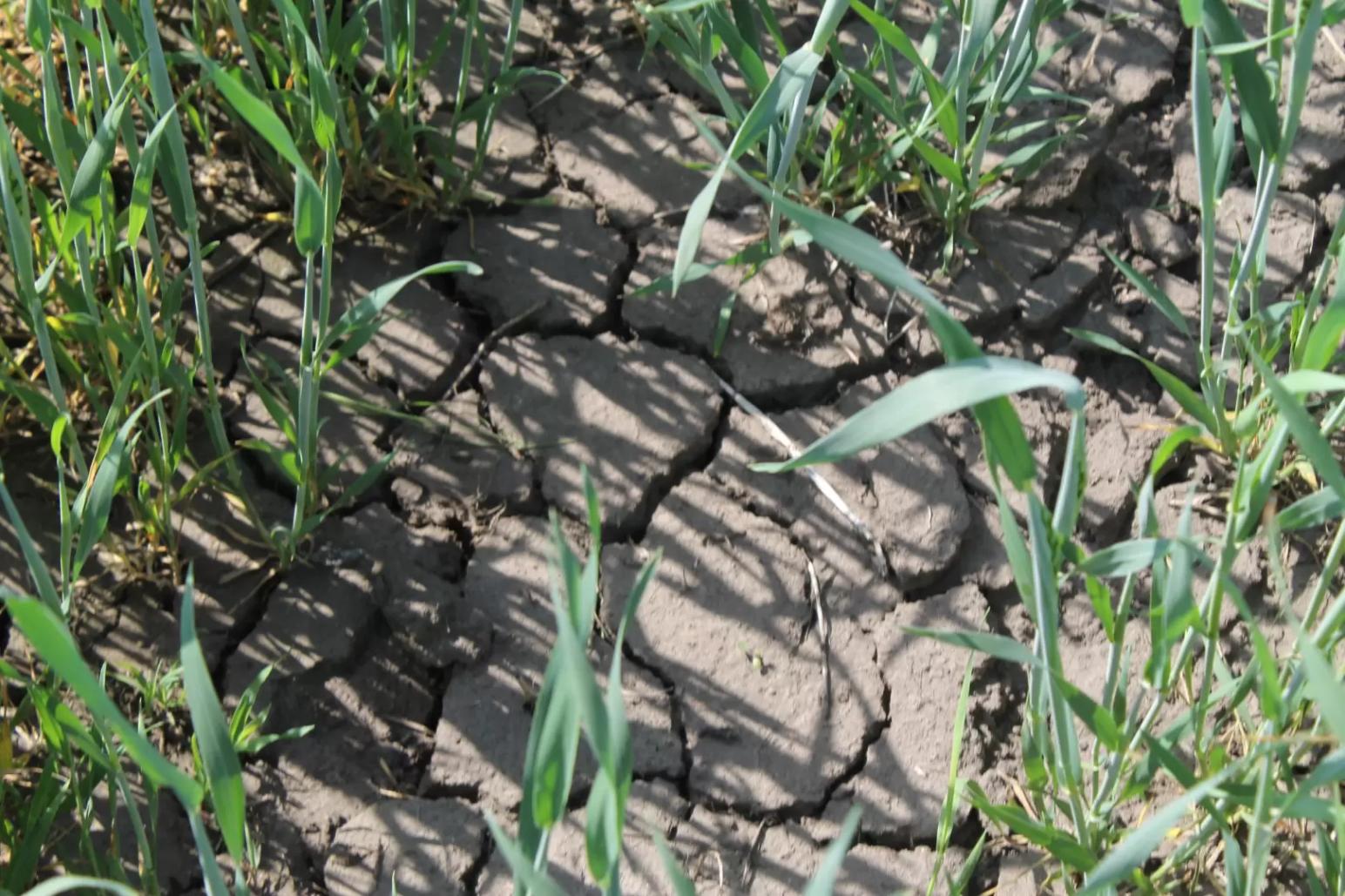 Угрозы Здоровью почвы – виды деградации/параметры