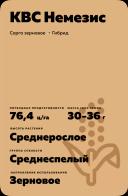 КВС Немезис (KWS NEMESIS) сорго зерновое