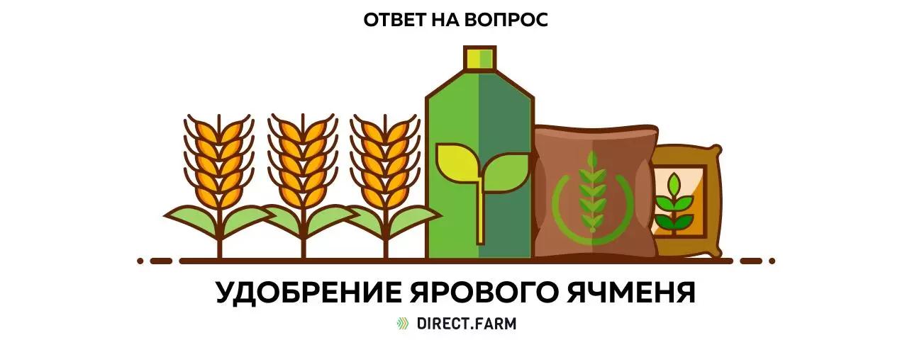 Яровой ячмень – удобрения