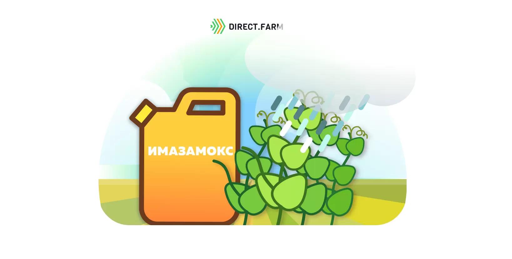 Поздняя обработка гороха гербицидом