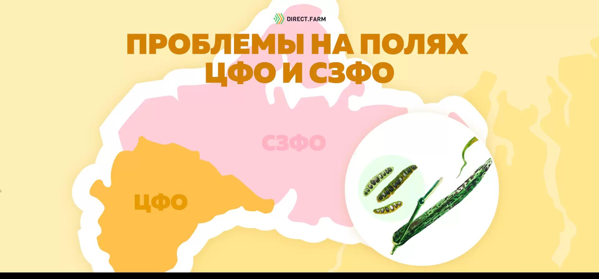 Угроза: Гельминтоспориоз