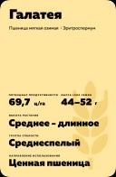 Галатея сорт мягкой озимой пшеницы